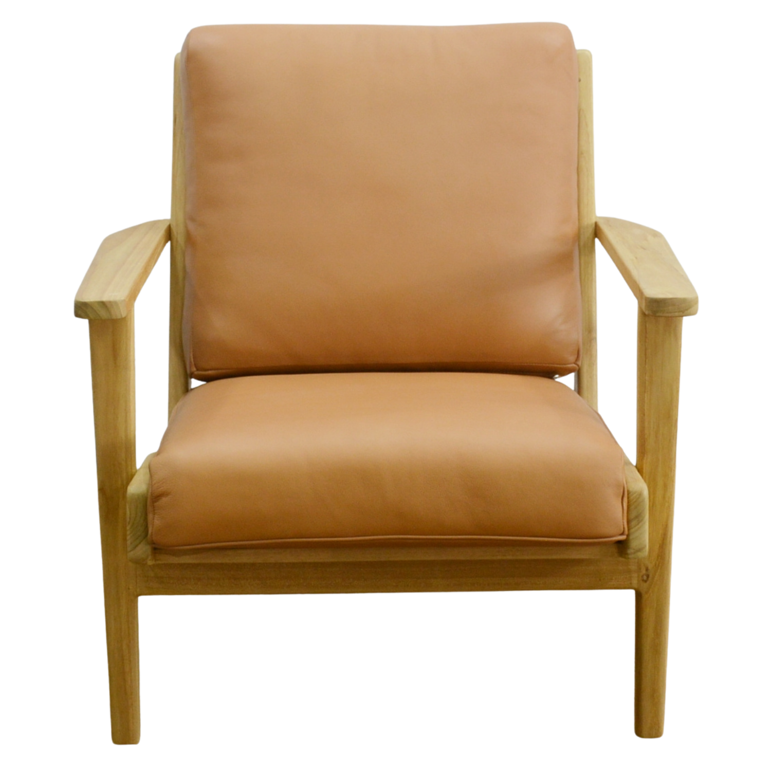 Swan Lounge Armchair